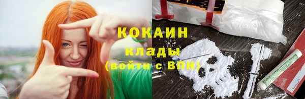 шишки Магадан