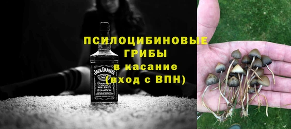 СК Горняк