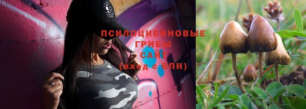 герыч Медногорск