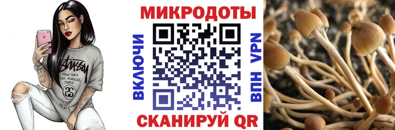 Псилоцибиновые грибы Cubensis мега Онега